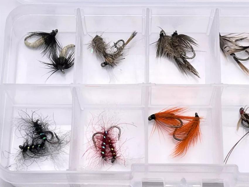 Trout Nymph Premium Fly Assortment - Kit #3. 20 Nymph Fly kit by OFS for Freshwater, Trout, Bass, Steelhead/Salmon