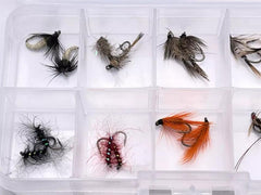 Trout Nymph Premium Fly Assortment - Kit #3. 20 Nymph Fly kit by OFS for Freshwater, Trout, Bass, Steelhead/Salmon