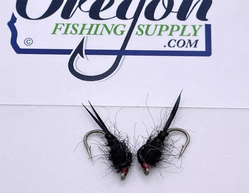 Black Biot Stonefly size 12 for troutes in a protected tube by OFS for freshwater trouts