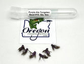 Purple Ale Tungsten Beadhead, 6 Tungsten Fly in a protective tube by OFS for Freshwater, Trout, Bass, Steelhead/Salmon